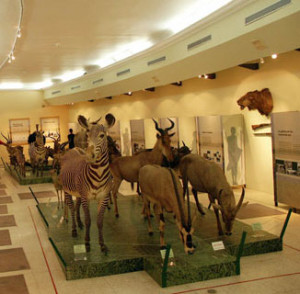 Museo de Ciencias Naturales.