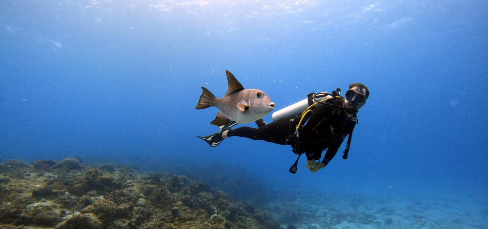 Excursiones Cozumel