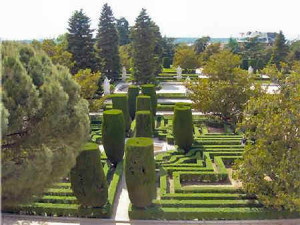 Jardin Botanico Madrid